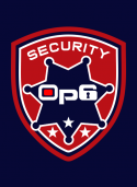https://www.logocontest.com/public/logoimage/1666947142OP6 Security_other_15.png